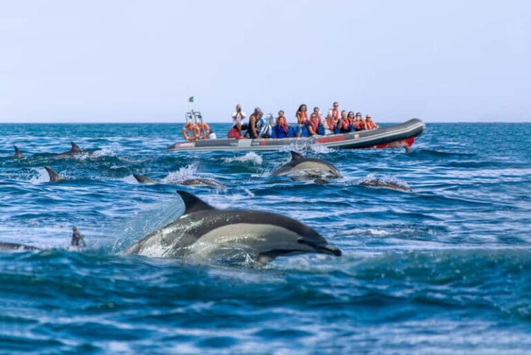 Albufeira: 2.5-Hour Private Dolphin & Benagil Caves tour - Why the Experience Can Be So Special