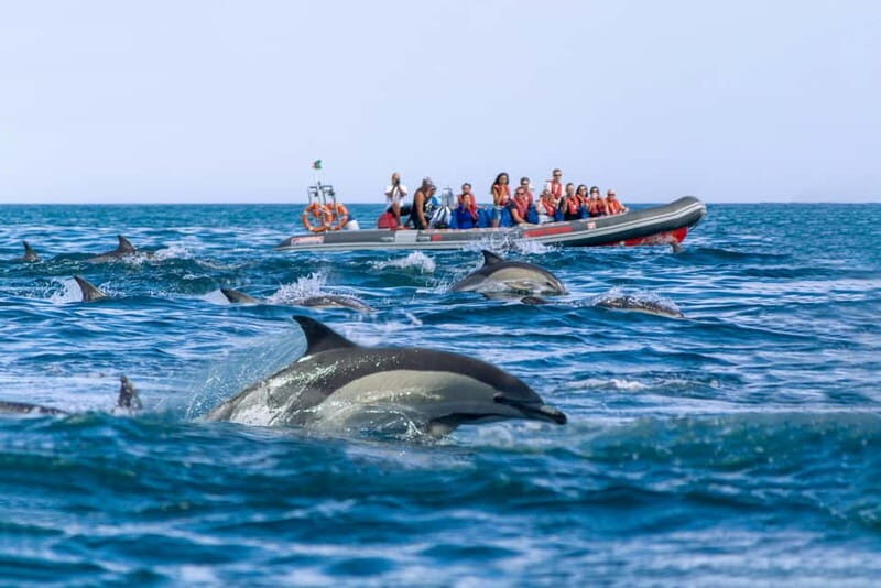 Albufeira: 2.5-Hour Private Dolphin & Benagil Caves tour - Why the Experience Can Be So Special