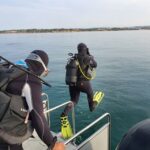 Albufeira: 2 DIVES TRIP (ONLY CERTIFIED DIVERS) - Who Will Love This Tour?