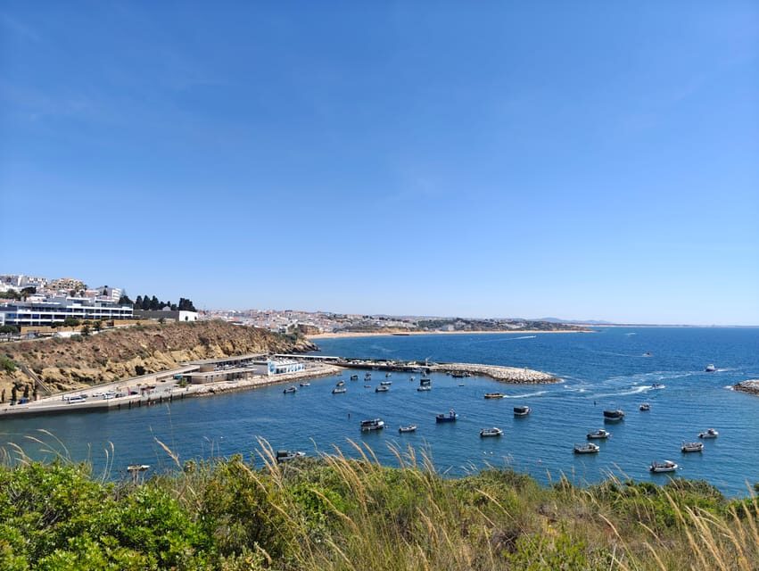 Albufeira: Albufeira Marina & west coast Tour 1.5h - The Practical Side: Cost, Duration & Details
