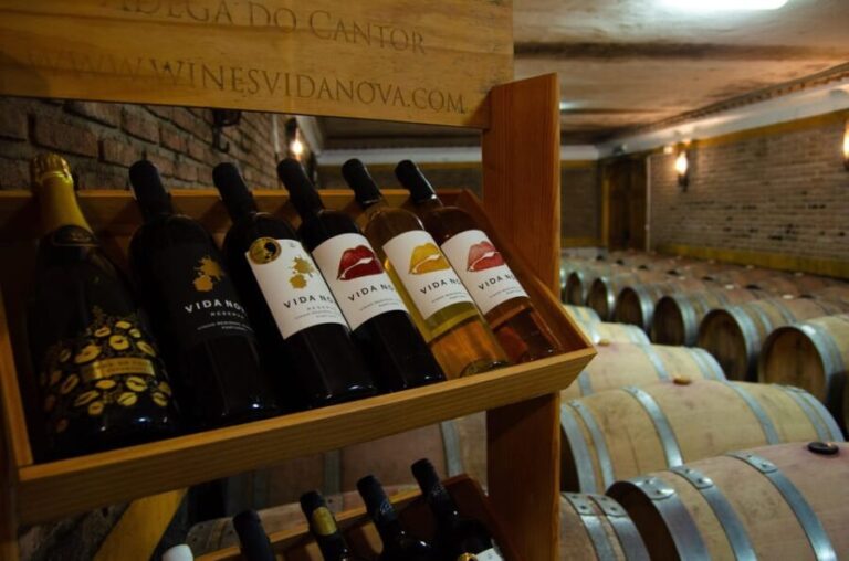 Albufeira: City Highlights & WINE TASTING - Discovering the Best of Albufeira