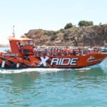 Albufeira: Dolphin Watching and Benagil Cave - The Practical Side: Pricing, Duration, and Comfort