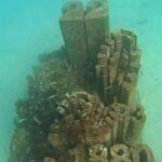 Albufeira: Double Ocean Dive for Certified Divers - Whats Included and Whats Not