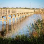 Albufeira: E-Bike tour of Nature Trails and Tradition - Who Will Enjoy This Tour?