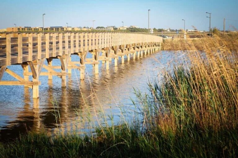 Albufeira: E-Bike tour of Nature Trails and Tradition - Who Will Enjoy This Tour?