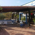 Albufeira, Olhão, Faro: Visit a vineyard, Free time in Silves - Real Travelers’ Insights