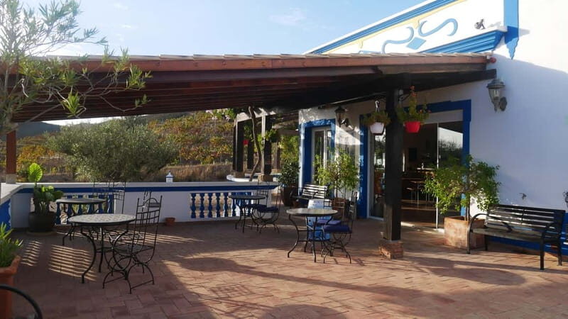 Albufeira, Olhão, Faro: Visit a vineyard, Free time in Silves - Real Travelers’ Insights