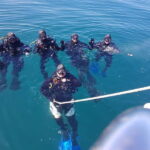 Albufeira: Scuba Diving Experience for Beginners - The Breakdown of the Itinerary