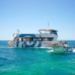 Albufeira: Sightseeing Cruise with Beach BBQ and Open Bar - The Experience in Detail