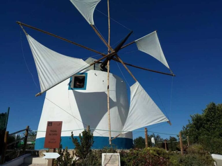 Albufeira: Wine Tasting Tour - 4H - The Practicalities