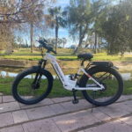 Albufera Bike Adventure: Wetlands, Beaches & Biodiversity - Real Traveler Insights