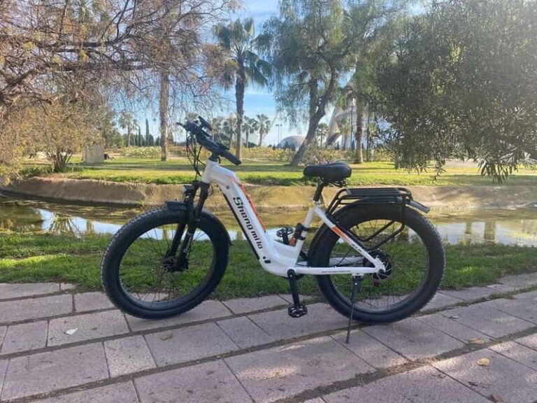 Albufera Bike Adventure: Wetlands, Beaches & Biodiversity - Real Traveler Insights