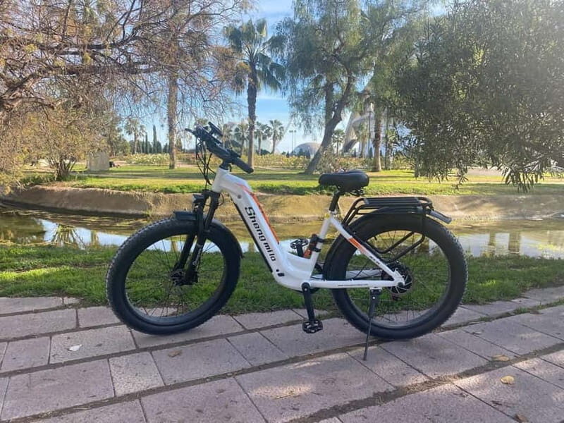 Albufera Bike Adventure: Wetlands, Beaches & Biodiversity - Real Traveler Insights