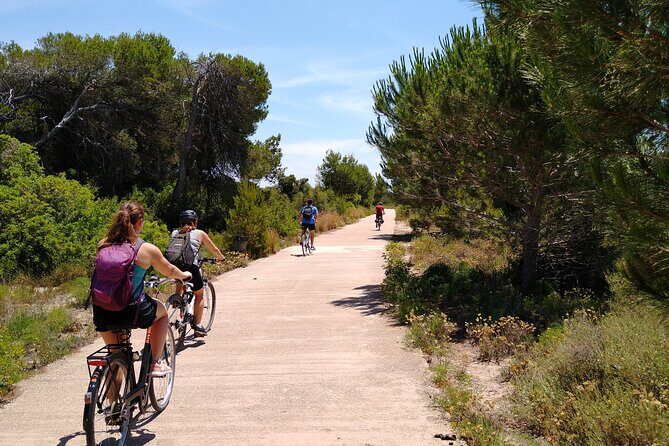 Albufera Highlights Loop Bike Tour with Boat Trip & Paella - The Bike and Equipment