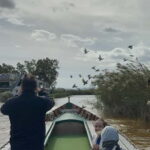 Albufera Valencia: Guided electric boat ride, also at sunset - An In-Depth Look at the Albufera Electric Boat Tour