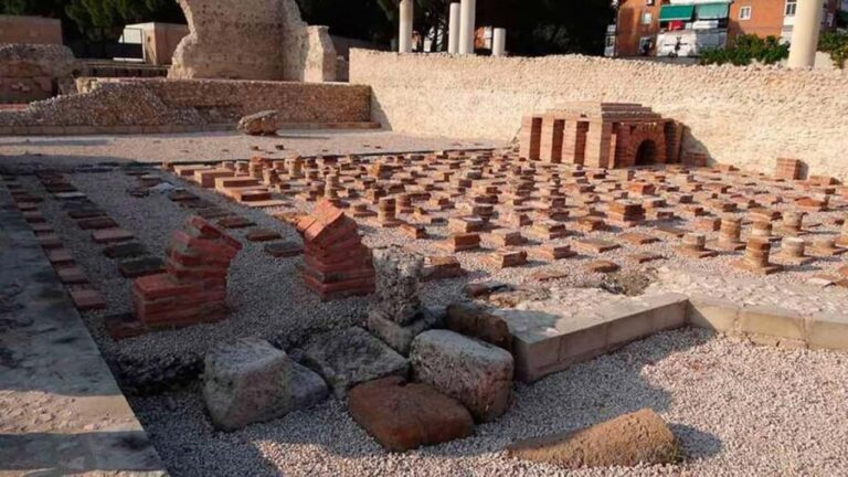 Alcalá de Henares: Guided tour of Complutum - The Practicalities: What to Keep in Mind