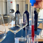 Alcamo: Create your personal blend of wine - What We Think