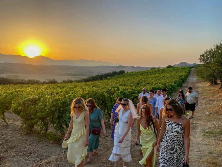 Alcamo: Natural Wine & Olive Oil Tasting - Sicily - The Experience in Detail