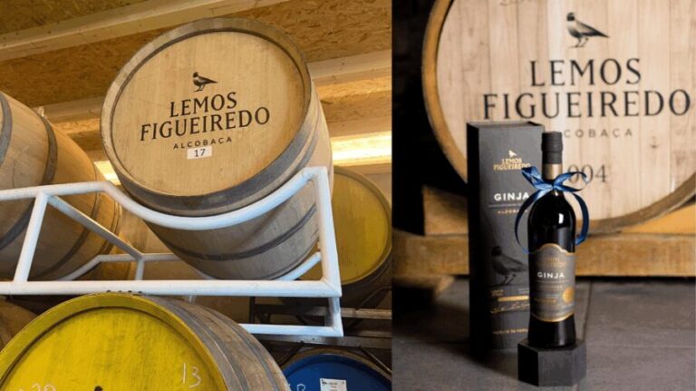 Alcobaça: Visit to the Lemos Figueiredo Winery and Distillery - Practical Details and Tips