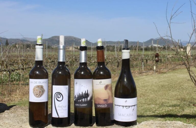 Alcúdia/Can Picafort: Guided Vineyard Visit and Wine Tasting - What to Expect on the Tour
