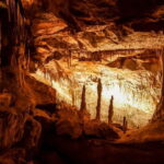 Alcudia: Caves of Drach Tour from the North with Boat Trip - Who Would Love This Tour?