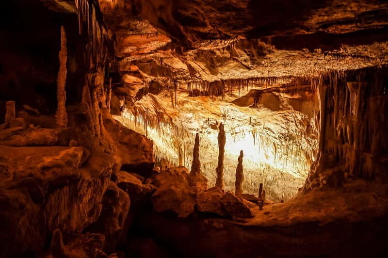 Alcudia: Caves of Drach Tour from the North with Boat Trip - Who Would Love This Tour?