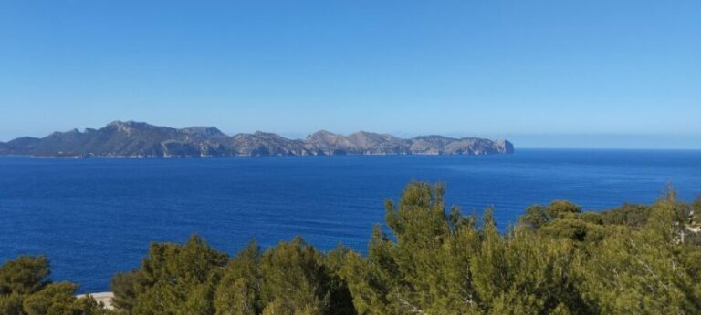 Alcudia: Quad Sightseeing Tour with Viewpoints - What to Expect in Practice