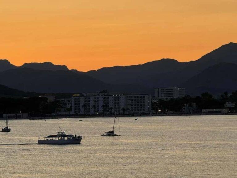 Alcudia: Sunset Tapas Cruise with Cava & Sangria Small Group - Water Activities: Relax or Explore