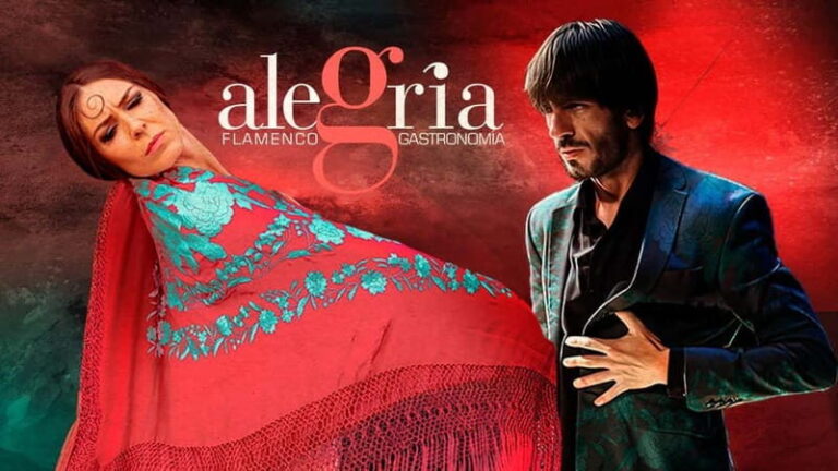 Alegria Flamenco in Malaga, with Transfer, Cocktail and Premium Location - What to Expect from the Alegria Flamenco Tour