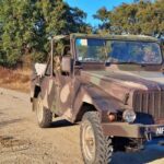 Alentejo: Prickly Pear Orchard and Cork Oak Forest Tour - Exploration Modes: Walking, Biking, or Jeep