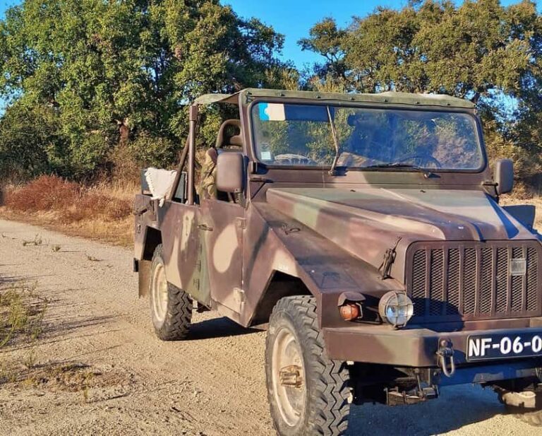 Alentejo: Prickly Pear Orchard and Cork Oak Forest Tour - Exploration Modes: Walking, Biking, or Jeep