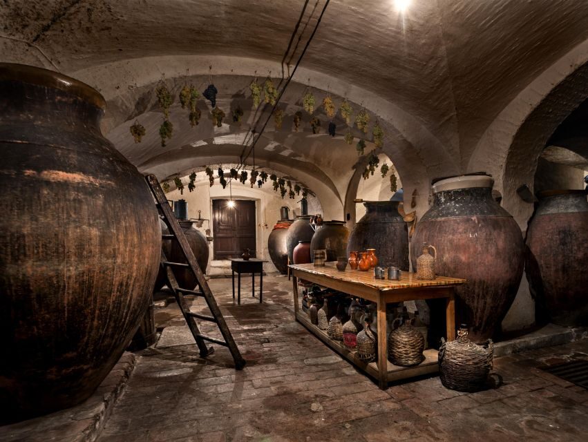 Alentejo: Visit and Taste the tradition of Talha Wines - Final Thoughts: Is This Tour for You?