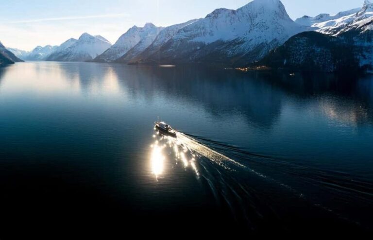 Ålesund: Fjord Tour with Lunch on MS Bruvik - Food and Comfort