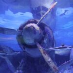 Alexander Waterfall and Antalya Aquarium Day Tour from Side - The Comfort and Convenience