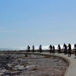 Algarve Bike and Food Tour with Sea Food and Wine Tasting - The Food and Drink Experience