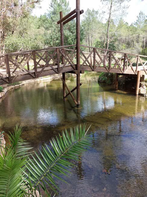 Algarve: Cork Factory, Fonte Férrea Park, & Distillery Tour - Deep Dive: What to Expect and Practicalities