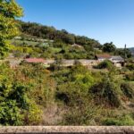 Algarve: Full-Day Boat and Jeep Tour - Lunch in a Typical Local Restaurant