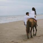 Algarve: Premium Guided Horseback Ride with Picnic - Final Thoughts