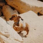 Algarve: Private Vacation Photoshoot with a Local - The Locations and What They Bring