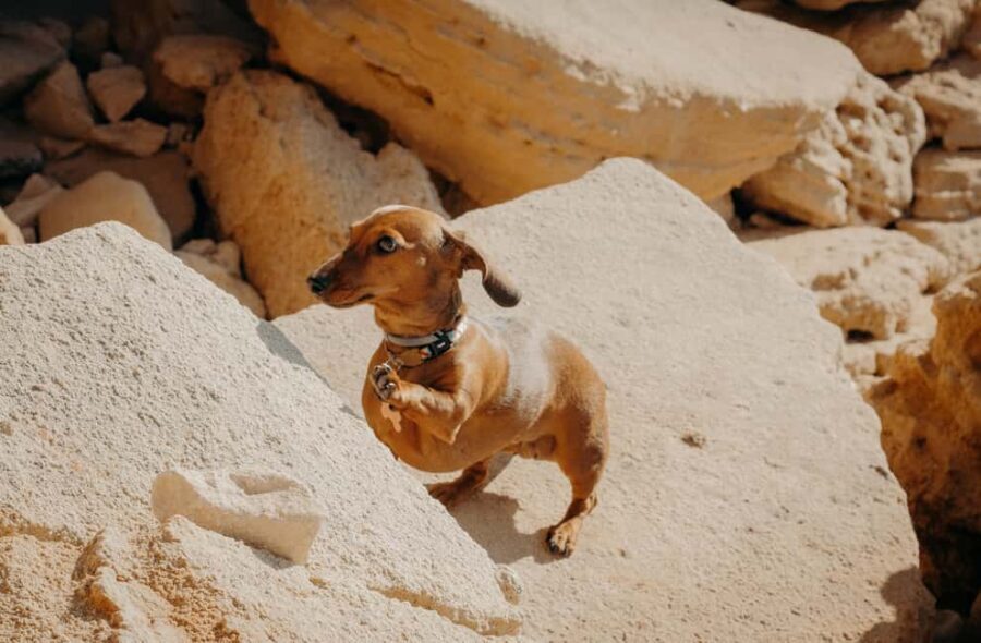 Algarve: Private Vacation Photoshoot with a Local - The Locations and What They Bring