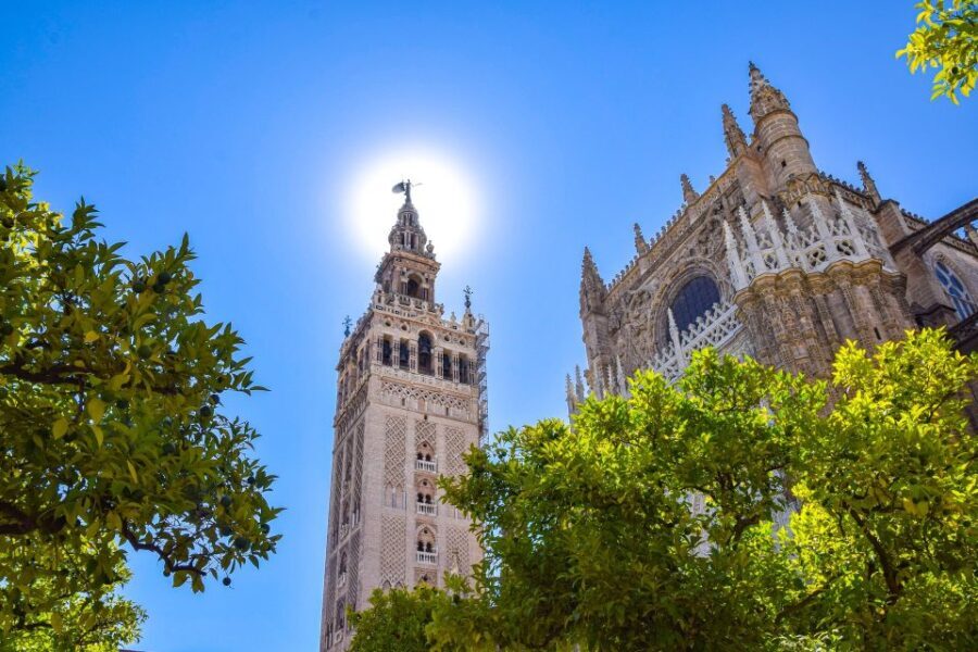 Algarve: Seville Full-Day Shopping and Sightseeing Tour - Transport and Guide Experience