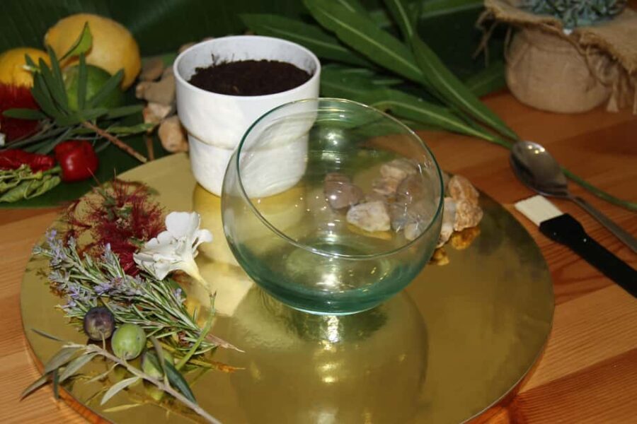 Algarve: Terrarium-Making Workshop with Snacks - The Value of the Experience