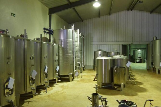 Algarve wine tour and farmer's lunch at wine estate - Final Thoughts