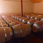 Algarve wine tour and mountain top trip with lunch or dinner - FAQ