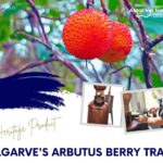 ALGARVE'S ARBUTUS BERRY TRAIL - The Traditional Distillation Process