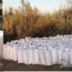 ALGARVE'S CAROB TRAIL - The Itinerary in Detail