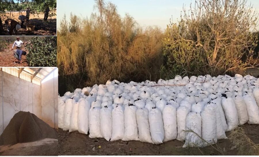 ALGARVE'S CAROB TRAIL - The Itinerary in Detail