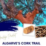 ALGARVE'S CORK TRAIL - The Journey in Detail