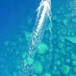 Alghero: Boat Tour and Snorkeling with Aperitif Porto Conte - Who Is This Tour Best For?