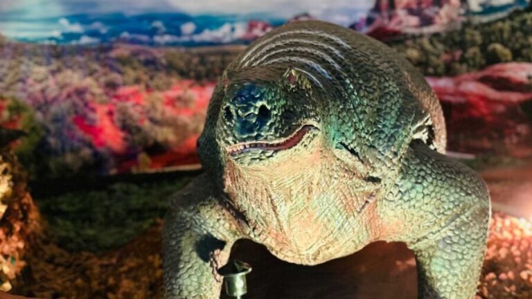 Alghero: Discover dinosaurs in Porto Conte Park - Price and Value